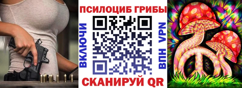 Псилоцибиновые грибы Psilocybe где можно купить Томилино